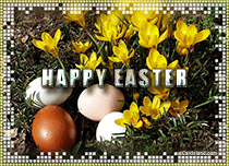 Free eCards, Funny Easter cards - Easter Garden Of Wishes
