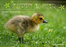 Free eCards Easter - Easter is Coming