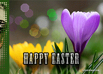Free Easter eCards, Free Funny Easter eCards - Free eCards