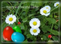 eCards Easter Happy and Peaceful Easter, Happy and Peaceful Easter