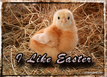 eCards Easter I Like Easter, I Like Easter