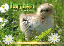 Free eCards, Easter cards free - Today is a Great Day