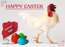 Free eCards - Colored Eggs