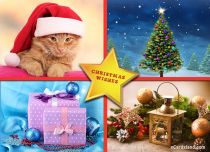 Free eCards, Christmas cards free - Christmas Wishes