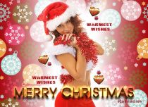 eCards Christmas Warmest Wishes, Warmest Wishes