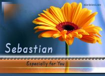 eCards Name Day - Men Especially for You Sebastian, Especially for You Sebastian
