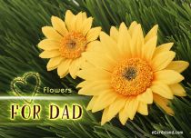 Free eCards, e-Cards with music - Flowers for Dad