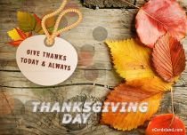 Free eCards Thanksgiving Day - Give Thanks e-Card