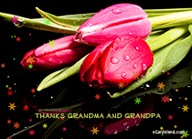 Free eCards Grandparents Day - Thanks Grandma and Grandpa