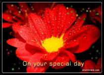 eCards Women's Day On Your Special Day, On Your Special Day