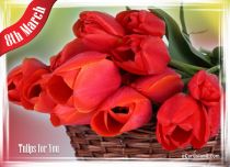 Free eCards, Women's Day ecards - Tulips for You