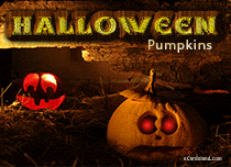 Free eCards - Halloween Pumpkins eCard