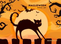 eCards Halloween Halloween Black Cat, Halloween Black Cat